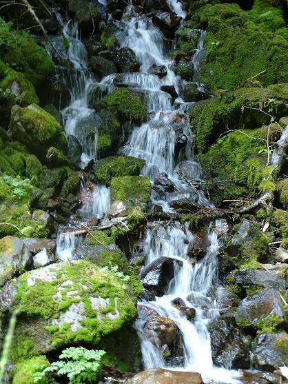 Photography by lazerblade for DesignCrowd (Community Contests) | Design #8949481