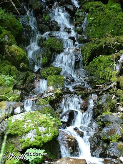 Photography by lazerblade