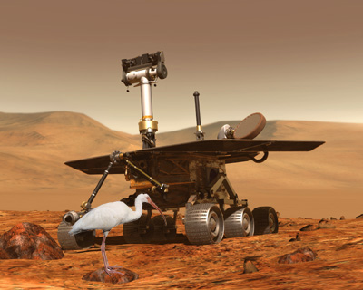 Photoshop Design by lnattrass for DesignCrowd (Community Contests) | Design #8953311