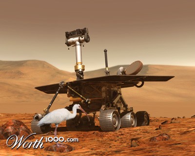 Photoshop Design by lnattrass