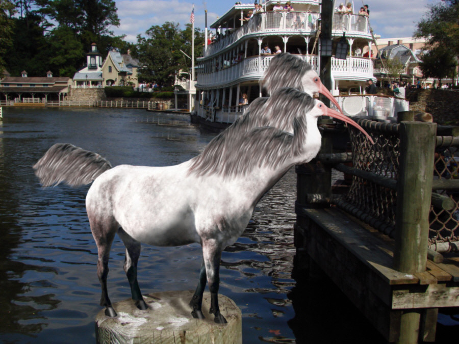 Diseño de Photoshop por kathiess para DesignCrowd (Community Contests) | Diseño #8953254