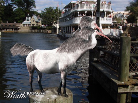 Photoshop Design by kathiess