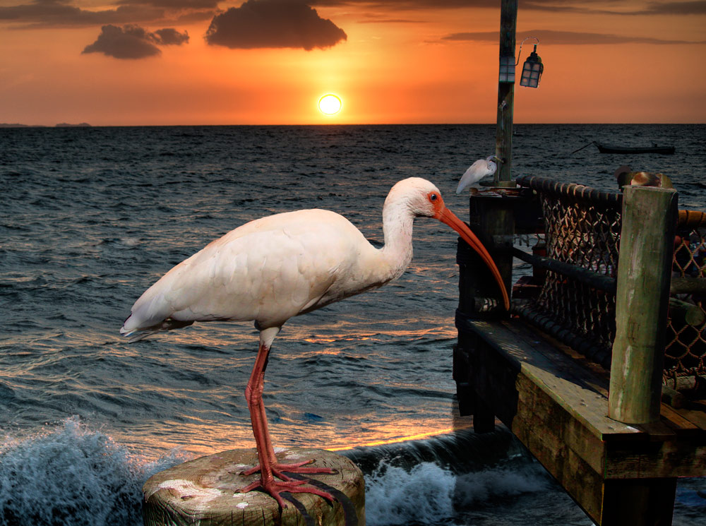 Photoshop Design by friiskiwi for DesignCrowd (Community Contests) | Design #8953271