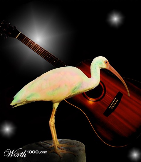 Photoshop Design by Creativeimagination