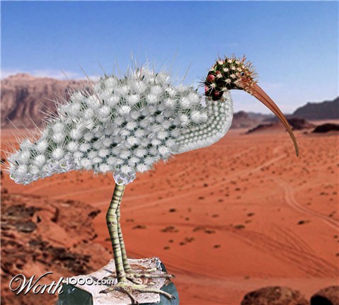 Photoshop Design by stormr