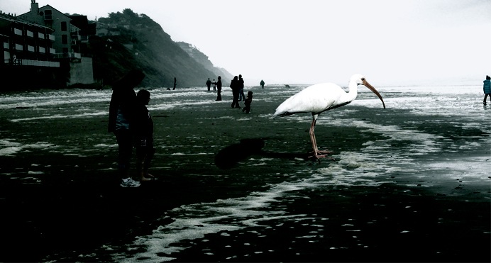 Photoshop Design by DareYouToMove02 for DesignCrowd (Community Contests) | Design #8953293