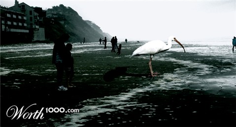 Photoshop Design by DareYouToMove02