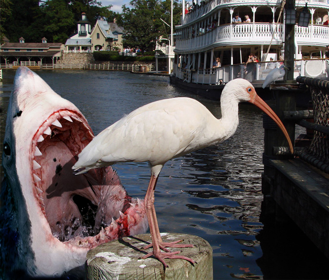 Photoshop Design by paperdreamers for DesignCrowd (Community Contests) | Design #8953336