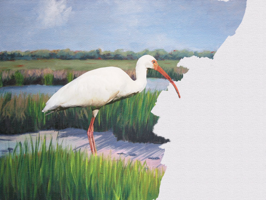 Photoshop Design by mikemuggles for DesignCrowd (Community Contests) | Design #8953407