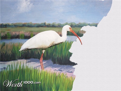 Photoshop Design by mikemuggles