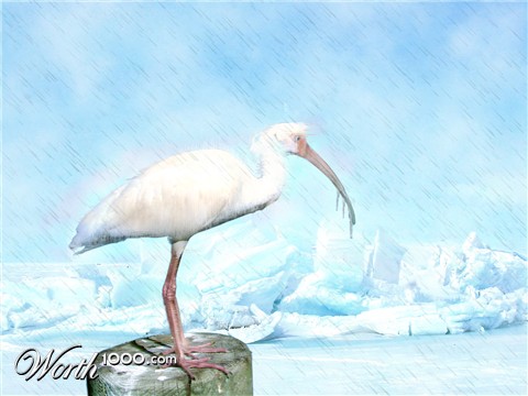 Photoshop Design by Evilmaan