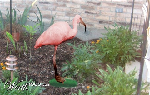 Photoshop Design by braingler314