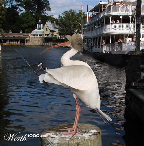 Photoshop Design by Nomac7777