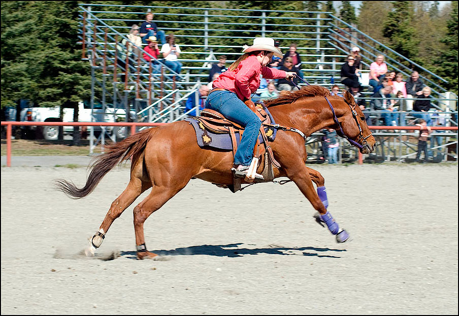 Photography by georgethedog for DesignCrowd (Community Contests) | Design #8949640