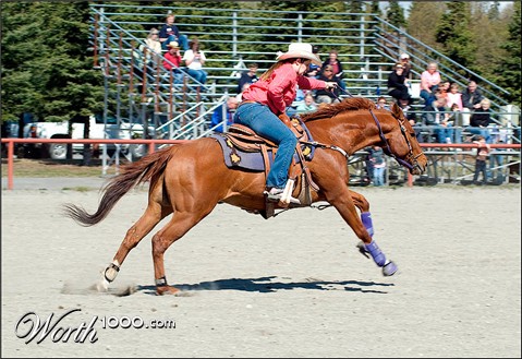 Photography by georgethedog