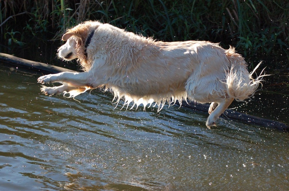 Photography by BruceHisted for DesignCrowd (Community Contests) | Design #8949657