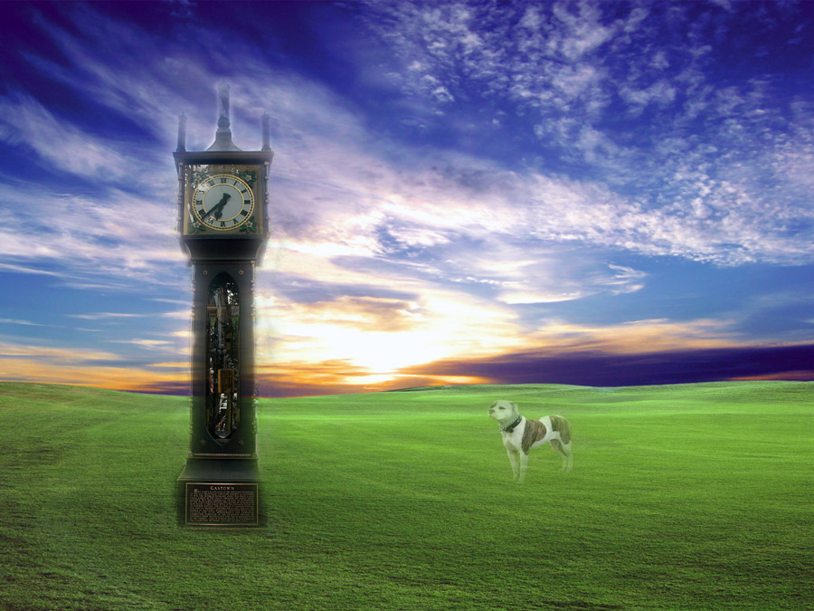 Photoshop Design by cutiewithabooty for DesignCrowd (Community Contests) | Design #8944944