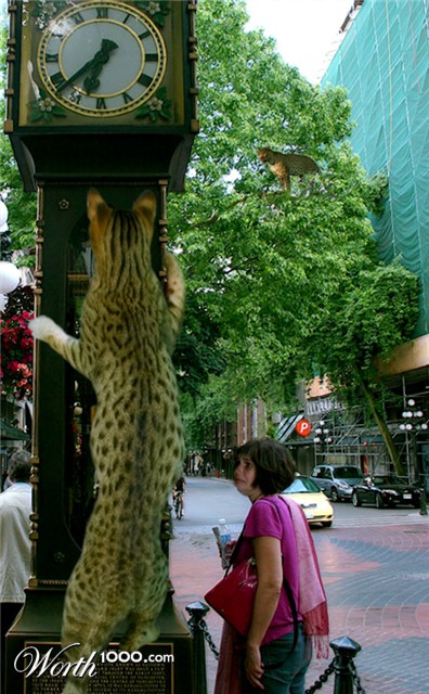 Photoshop Design by 4evrblu