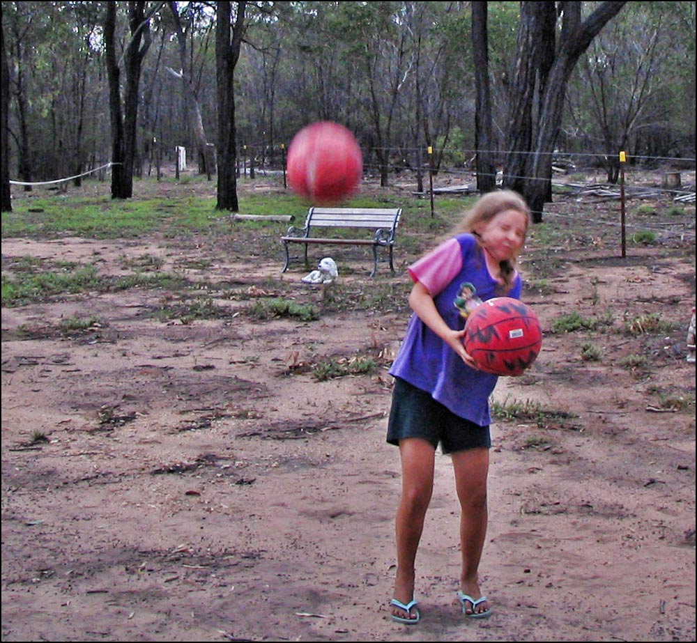 Photography by ICEBUNNY for DesignCrowd (Community Contests) | Design #8949668