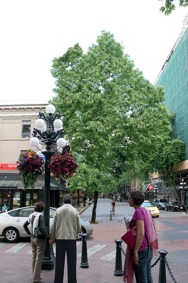 Diseño de Photoshop por Scaramanga75 para DesignCrowd (Community Contests) | Diseño #8945020