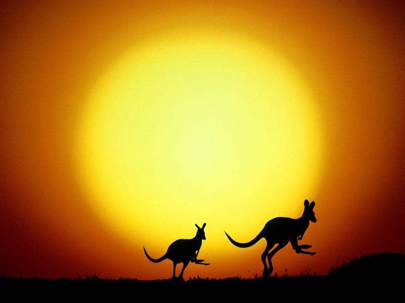 Design Photoshop par Roguey pour DesignCrowd (Community Contests) | Design #8950858