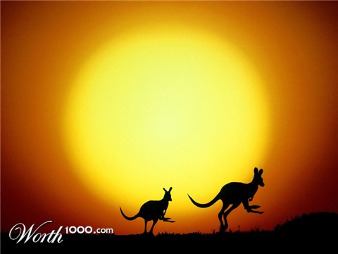 Photoshop Design by Roguey