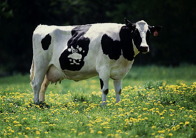 Photoshop Design by visualX for DesignCrowd (Community Contests) | Design #8952136