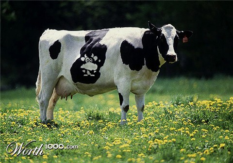 Photoshop Design by visualX