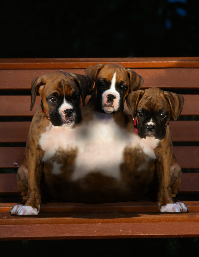 Photoshop Design by Latigo for DesignCrowd (Community Contests) | Design #8950876