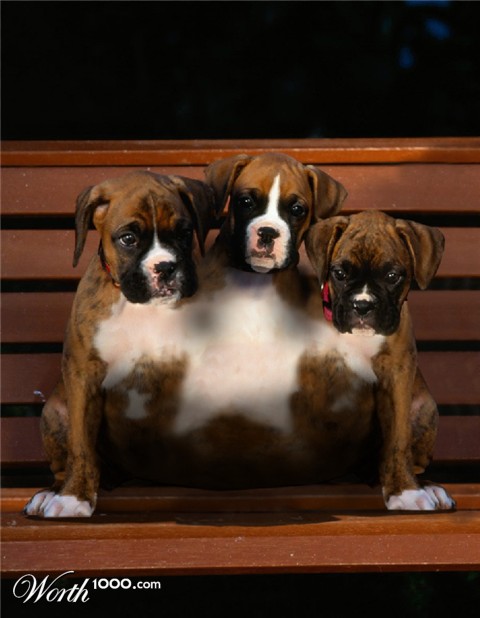 Photoshop Design by Latigo