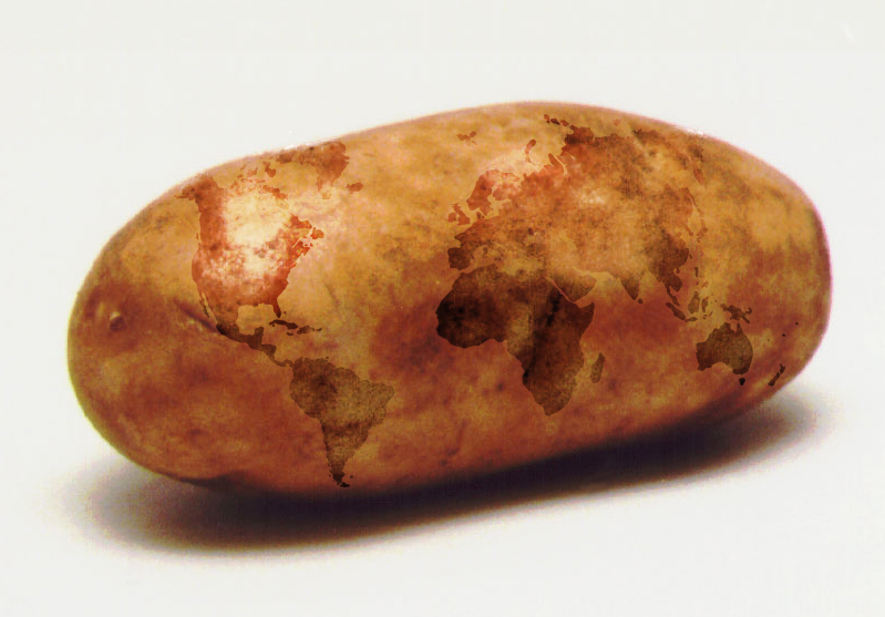 Photoshop Design by puzzleheaded for DesignCrowd (Community Contests) | Design #8952143