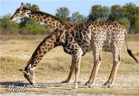 Photoshop Design by garby5497