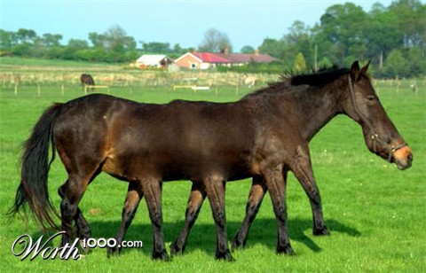 Photoshop Design by mbilham