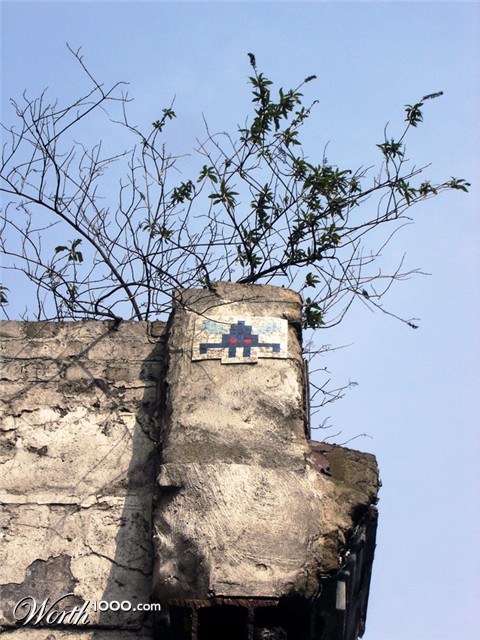 Photography by neehen