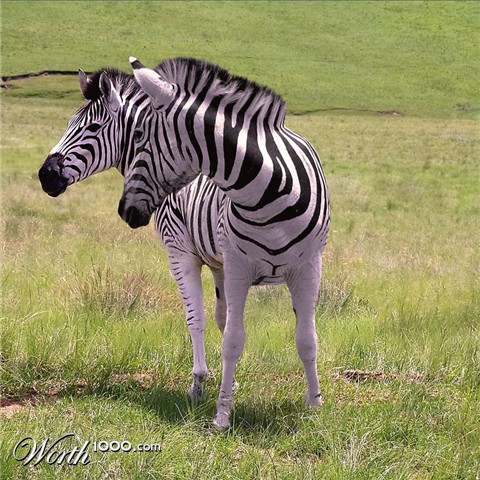 Photoshop Design by gear01d