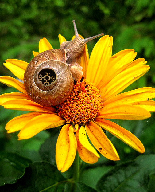 Photoshop Design by castiza for DesignCrowd (Community Contests) | Design #8952173