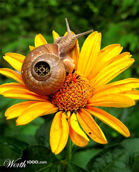 Photoshop Design by castiza