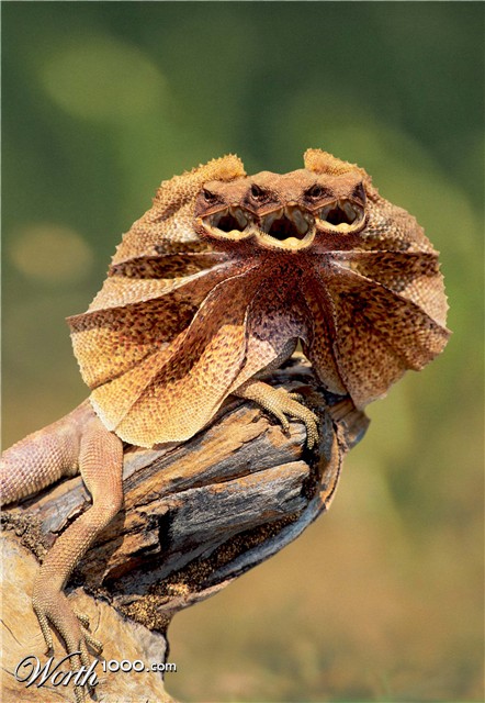 Photoshop Design by Vliegtuig