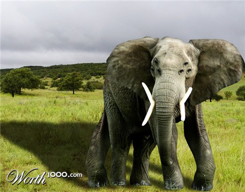 Photoshop Design by DukeBlueMH