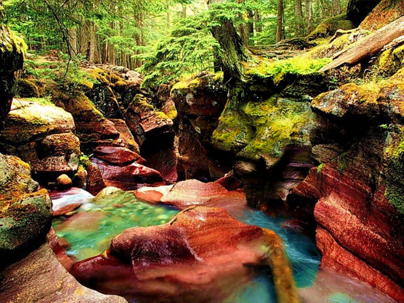 Diseño de Photoshop por 1passible para DesignCrowd (Community Contests) | Diseño #8952273