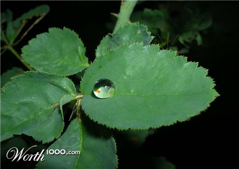 Photoshop Design by Vliegtuig