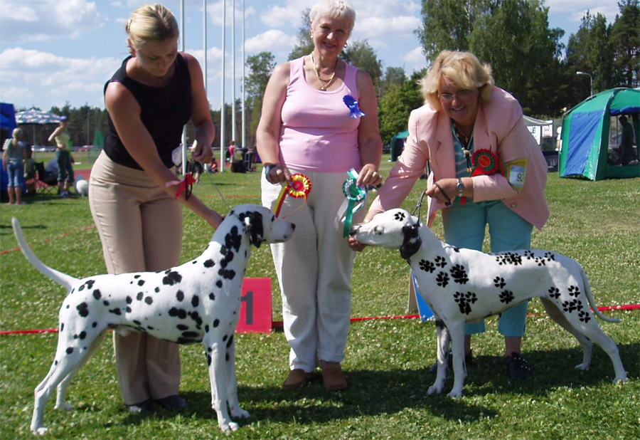 Design Photoshop par alyens1985 pour DesignCrowd (Community Contests) | Design #8952222