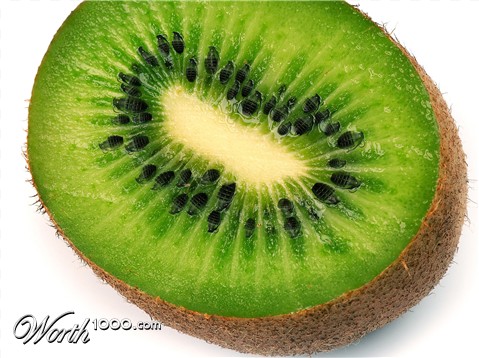 Photoshop Design by swimmingpoule