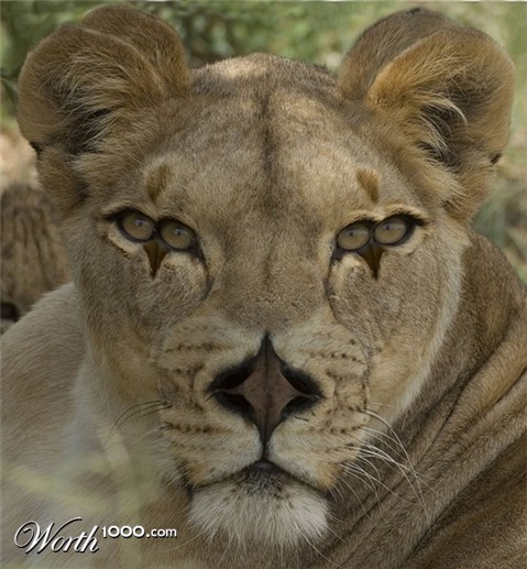 Photoshop Design by stormr