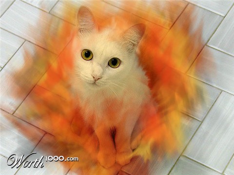 Photoshop Design by DeadlyDarling