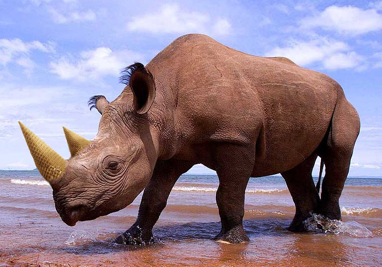 Photoshop-Design von pyrodave für DesignCrowd (Community Contests) | Design #8952492