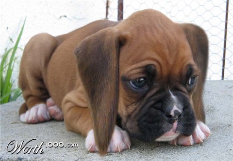 Photoshop Design by elzethv