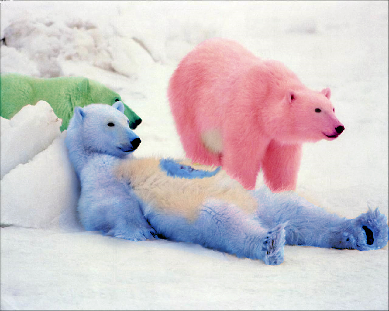 Diseño de Photoshop por TeMo80 para DesignCrowd (Community Contests) | Diseño #8945302