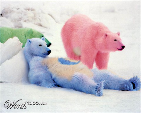 Photoshop Design by TeMo80