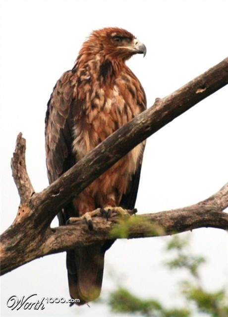 Photography by ConQuisTaDor